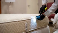 Major Midwest city tops bedbug infestation list for fifth consecutive year