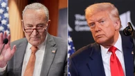 Schumer gives profanity-laced response to whether Dems will help extend DC police takeover