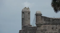 The forgotten 14th colony: St Augustine showcases its revolutionary history ahead of America's 250th