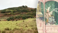 Archaeologist believes he found legendary Viking ruler's lost grave in remote spot: 'This is rare'