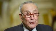 DAVID MARCUS: Why Schumer's do-nothing approach makes perfect sense for Democrats