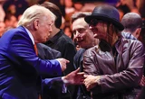 Trump is winning the culture war while Democrats are still hiring 2008's consultants