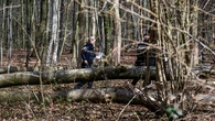 Baby among 3 dead in holiday horror as Easter egg hunt turns deadly