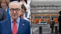 GOP senator accuses NYT of sitting on bombshell allegation to protect Schumer, Dems