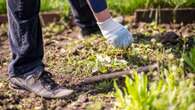 Value of ancient stone unearthed in garden by geography teacher recently revealed