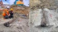 Archaeologists unearth miraculously well-preserved wooden remnant of Ancient Roman town