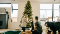 Strange celebrity 'naked Christmas tree' trend sparks pushback: 'Ornaments are a must'