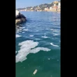 Schiuma, melma e liquami nel mare a Posillipo, i comitati: "Sono scarichi illegali"