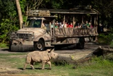 Spa days and safari treks: 12 things non-Disney people can do at Disney World