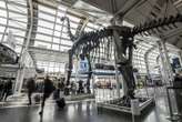 Dinosaurs descend on US airports