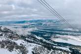 Waffles on the mountaintop and wildlife safaris: 7 family-friendly things to do in Jackson Hole during winter