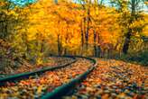 Amtrak fall sale: 30% and more off Northeast travel — but act fast