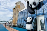 Even bigger! Giant Royal Caribbean ship is the largest ever to call Los Angeles home