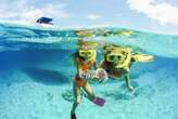 Best Caribbean shore excursions