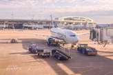 Finding the best summer flight deals: How to score cheap airfare, even at the last minute