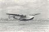 Flying boats: The AvGeeks hoping to keep these aviation relics in the air