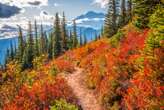 Leaf-peeping season is here: Where to see spectacular fall foliage across the US in 2024