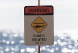 ‘Aggressive’ shark prompts warning signs at Nanakuli, Depots beach parks