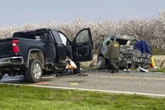7 farm workers in van, 1 pickup driver killed in head-on crash in California
