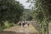 Maremma, the least populated part of Tuscany, offers a quiet escape