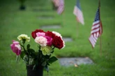 Interested in a green funeral? Here are tips to help you plan