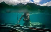 Hundreds set to descend on Tahiti for Olympic surfing