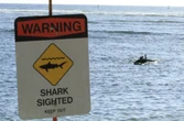 Shark warning signs posted at Maili Beach Park