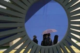 Observers see OPEC ‘panicking’ as climate talks focus on fossil fuel phase-out