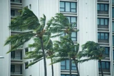 Wind, surf advisories in effect as brisk weather continues