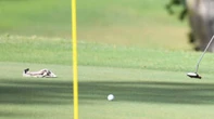 Las Vegas Advisor: 2 new indoor-golf venues slated for construction