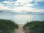 A speck of old Iceland in ice-cold Lake Michigan
