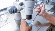 Eggs fertilised with material from human skin cells for first time