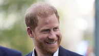 Prince Harry hits back at "categorically false" claims meeting with King were 'formal'