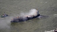 North Sea crash vessel unlikely to stay afloat but wasn't carrying sodium cyanide, owners say