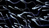 Men with healthier sperm live longer, study suggests