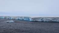 World's largest iceberg runs aground, putting these sea animals under threat