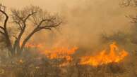 Disaster declaration issued and nuclear weapons plant shut down as Texas battles wildfires