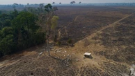 UK supermarkets threaten Brazil boycott over Amazon deforestation