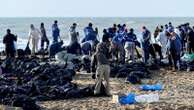 More than 30 dolphins wash up dead on beach after 'ecological disaster'