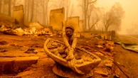 'Disaster movie' in Greece: Death and devastation as wildfires rage across the world