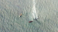 Sri Lanka cargo ship disaster: Large oil spill visible in satellite images