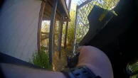 Deputy kills pet chimpanzee that attacked woman