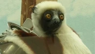 Endangered lemurs appear in Germany zoo