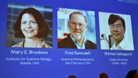 Nobel Prize committee unable to reach winner as he's 'hiking off-grid'