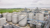 Redundancies begin at UK's largest bioethanol plant after bailout rejected