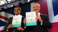 Farage deportation plan relies on these conditions - legal expert explains if it could work