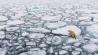 Melting Arctic ice caps helps predict UK heatwaves - as scientist reveals this summer's forecast