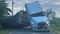 Millions of bees escape after lorry overturns