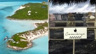 LimeWire and Fyre Festival: Two of the music industry's least favourite brands have joined forces
