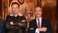 As he falls out with Farage, how should politicians handle Elon Musk?